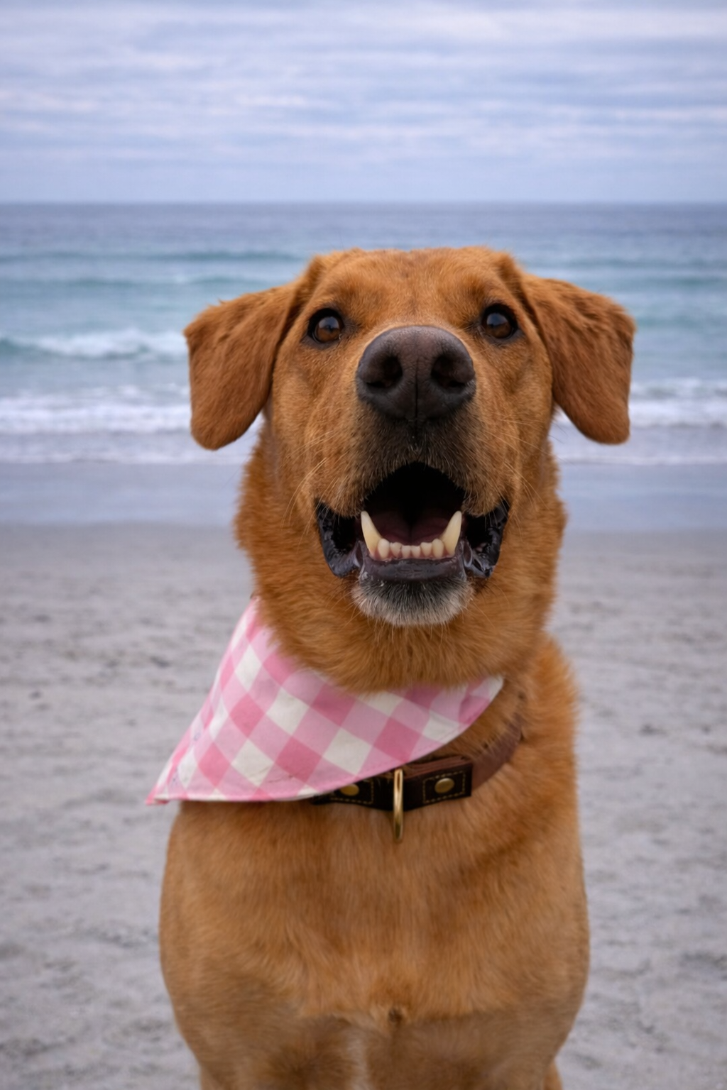 Pink Gingham Reversible Dog Bandana