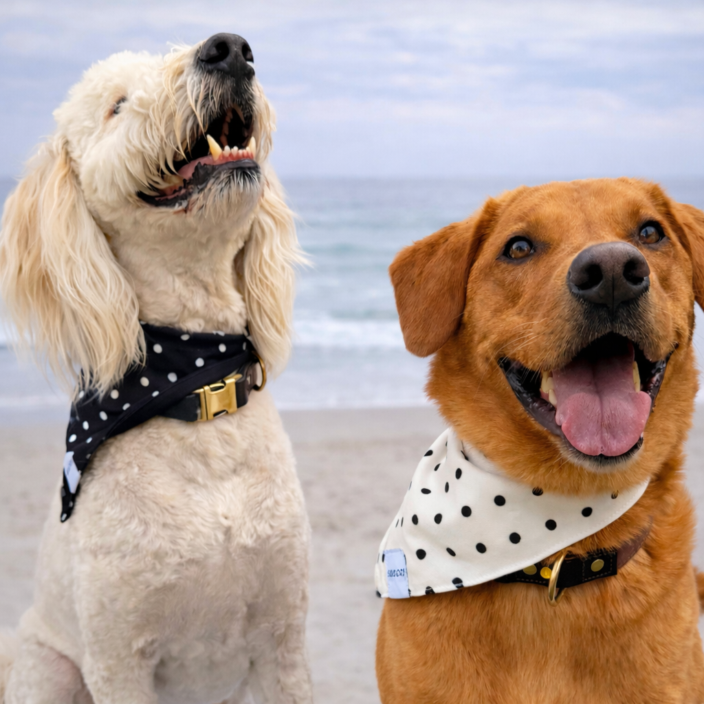 Black with White Polka Dots Reversible Dog Bandana