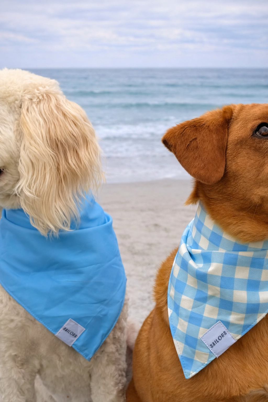 Light Blue Gingham Reversible Dog Bandana