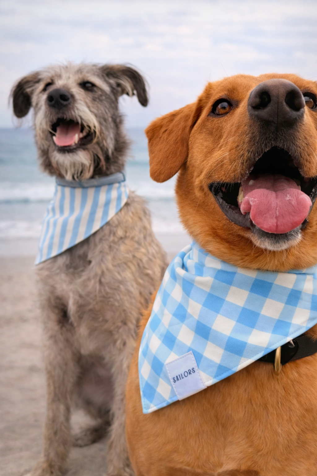 Blue and White Striped Reversible Dog Bandana
