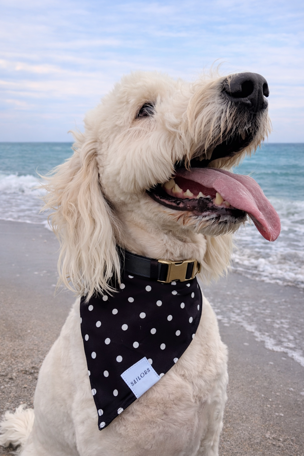 Black with White Polka Dots Reversible Dog Bandana