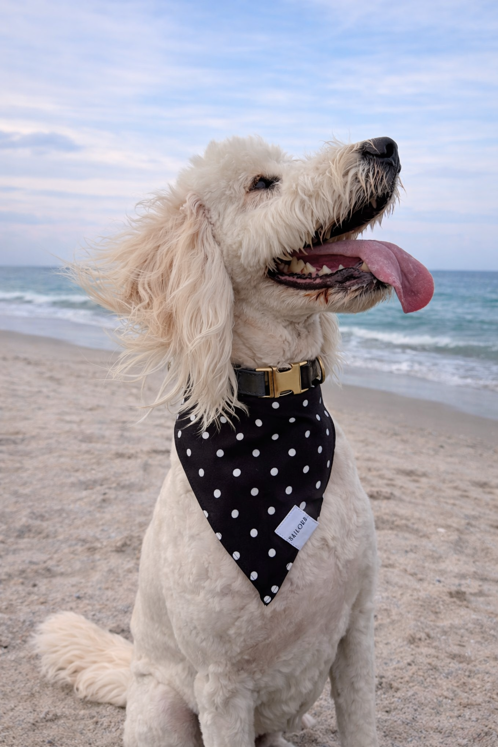 Black with White Polka Dots Reversible Dog Bandana