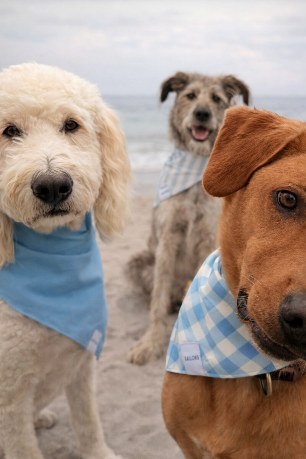 Light Blue Gingham Reversible Dog Bandana