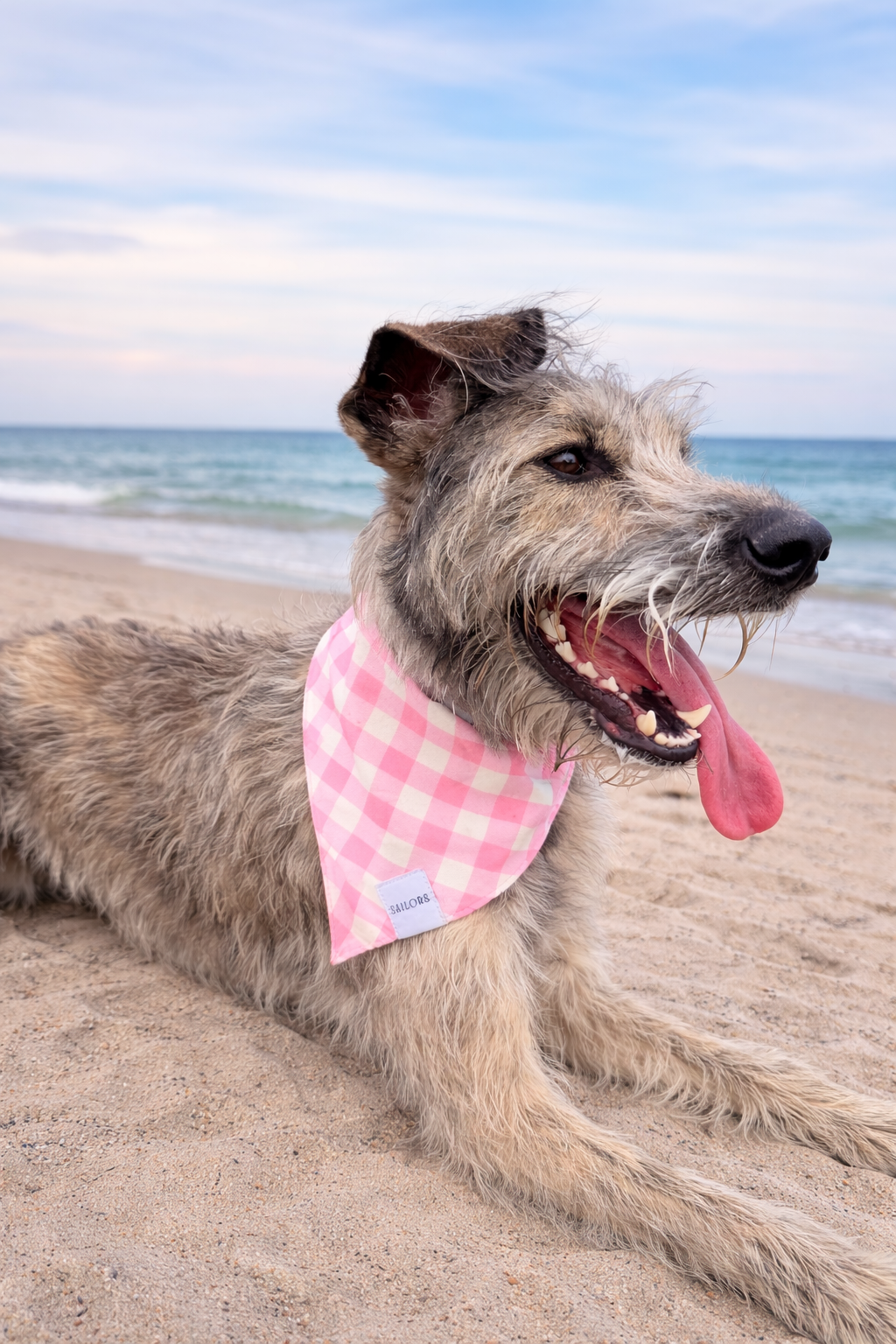 Pink Gingham Reversible Dog Bandana