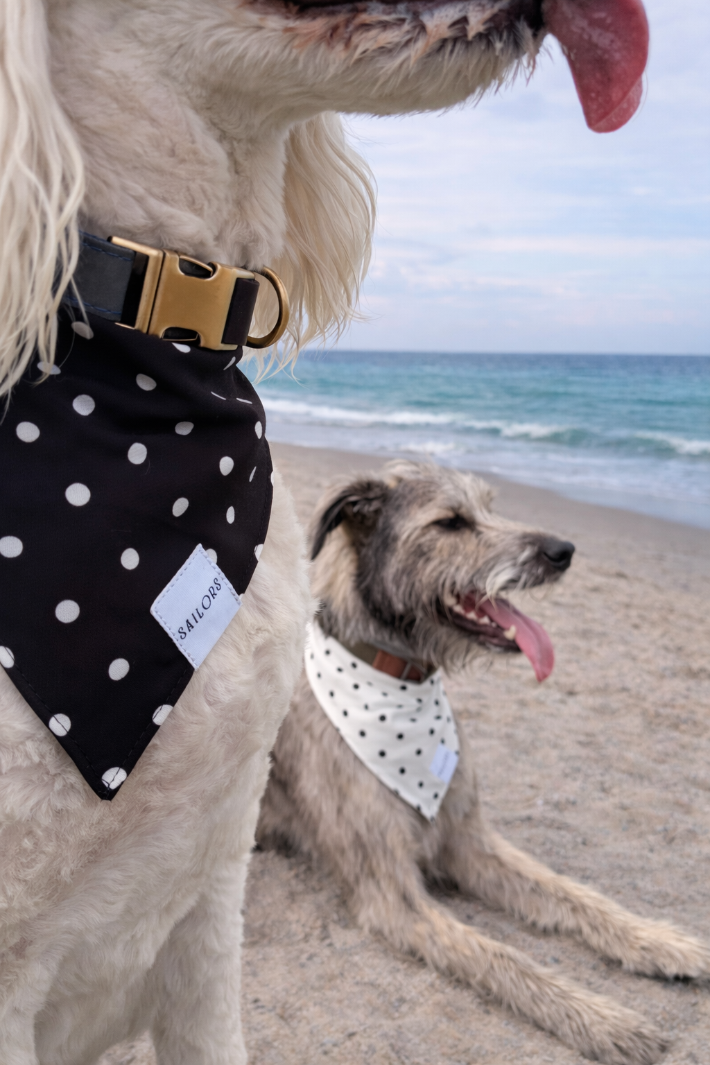 Black with White Polka Dots Reversible Dog Bandana