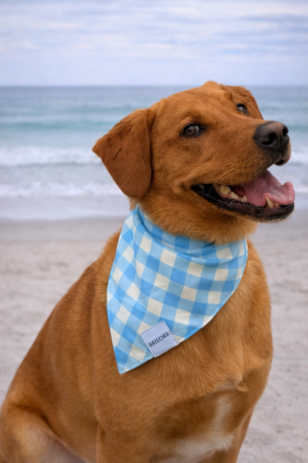 Light Blue Gingham Reversible Dog Bandana