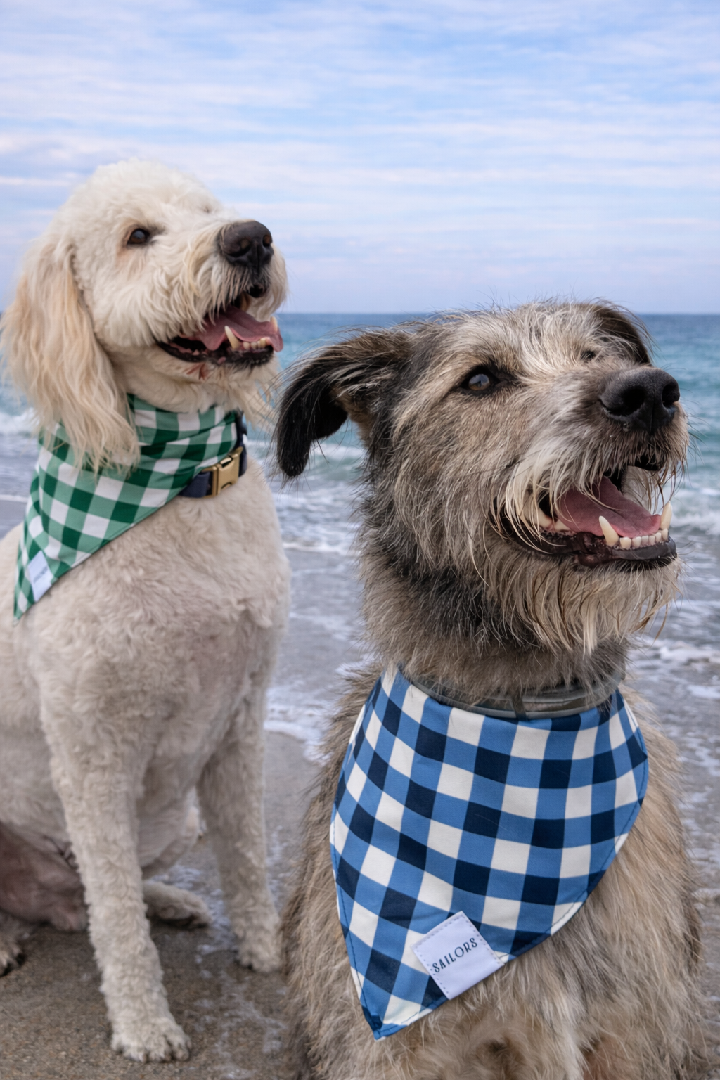 Green Gingham Reversible Dog Bandana