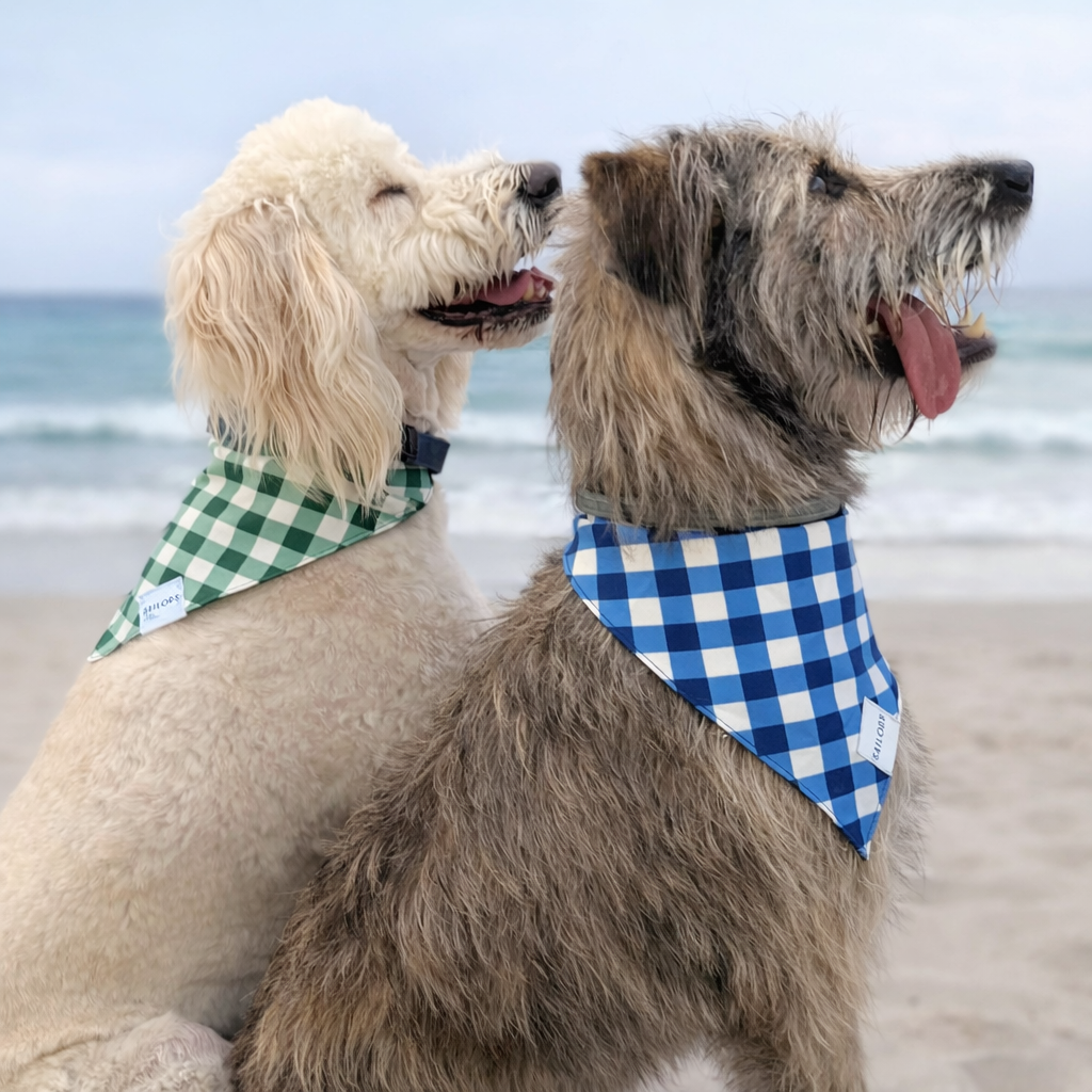 Blue Gingham Reversible Dog Bandana