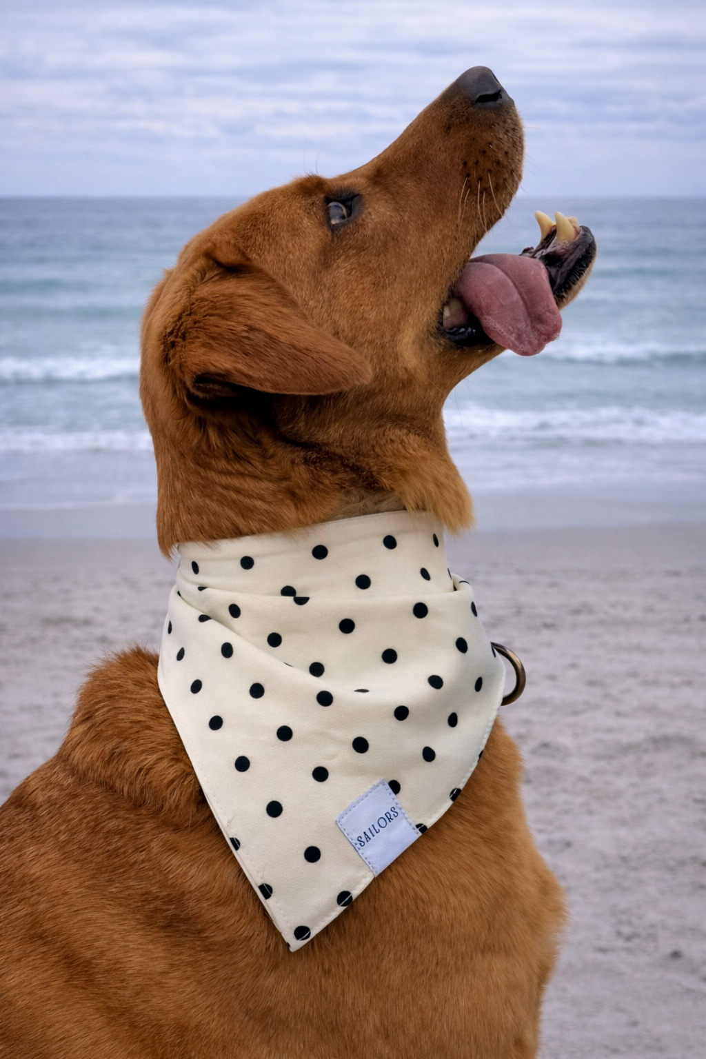 White with Black Polka Dots Reversible Dog Bandana