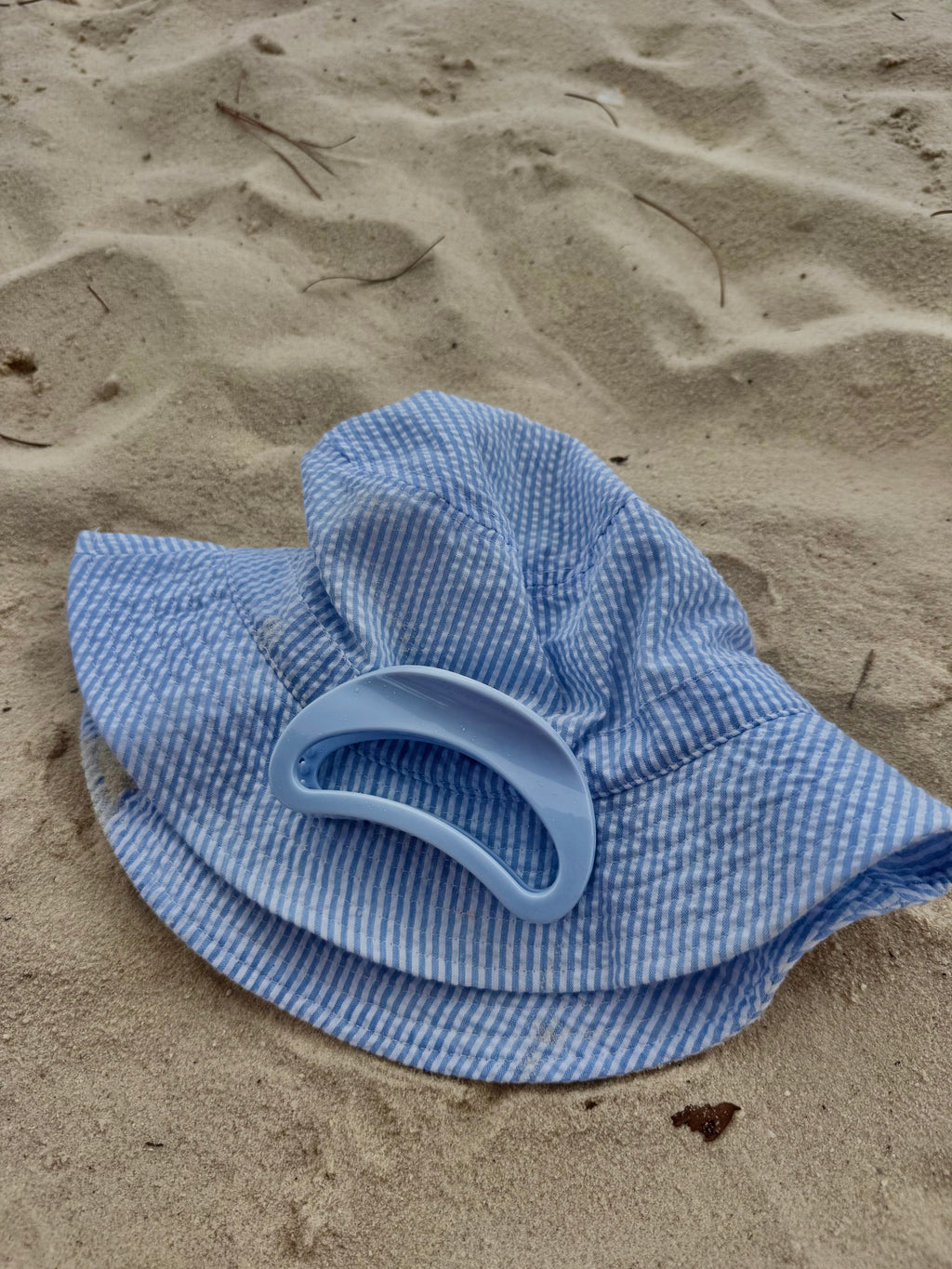 Baby Blue Seashell Curve Claw Clip