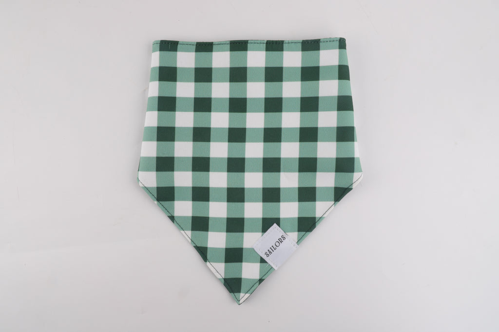 Green Gingham Reversible Dog Bandana