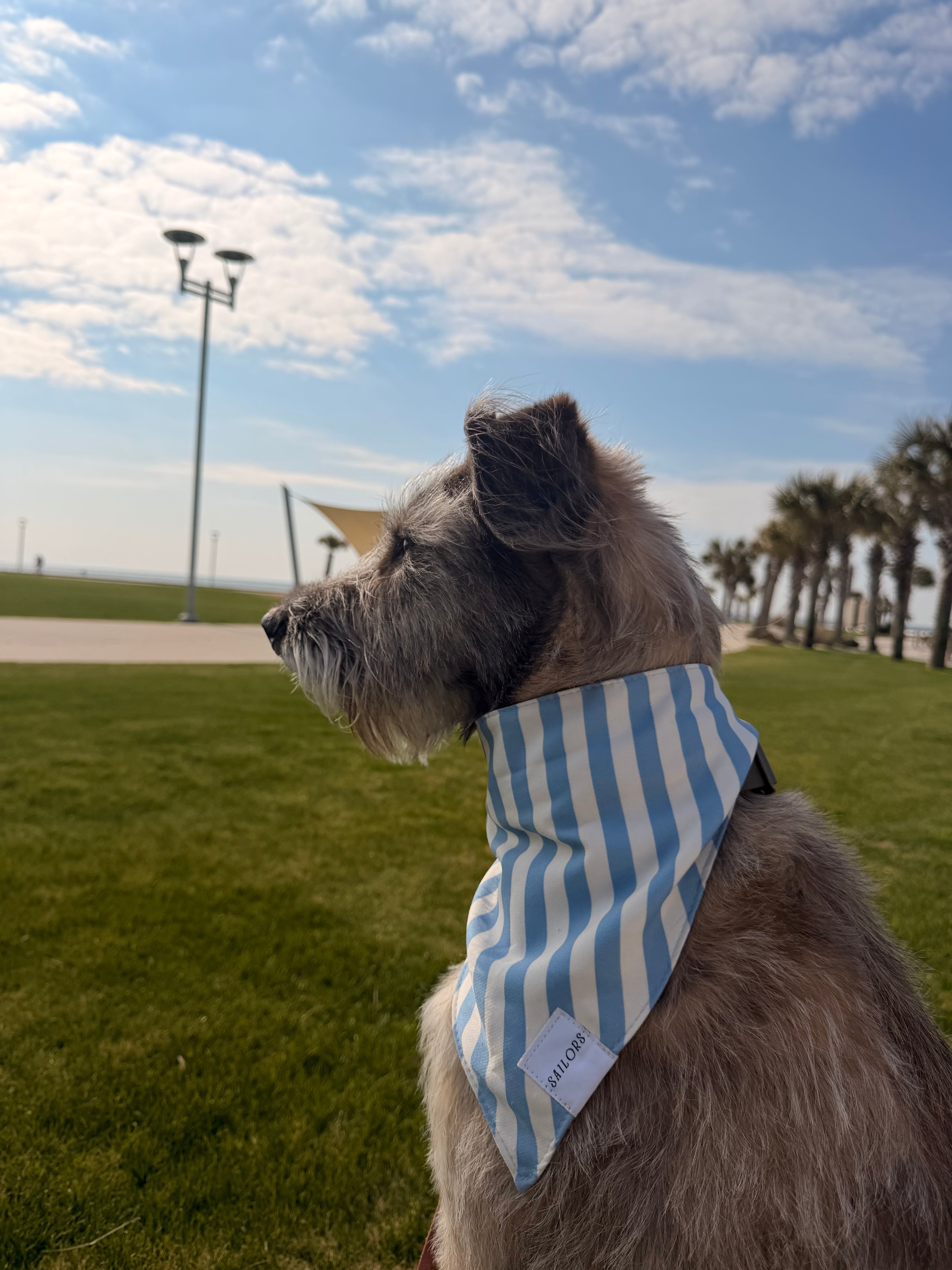 Blue and White Striped Reversible Dog Bandana