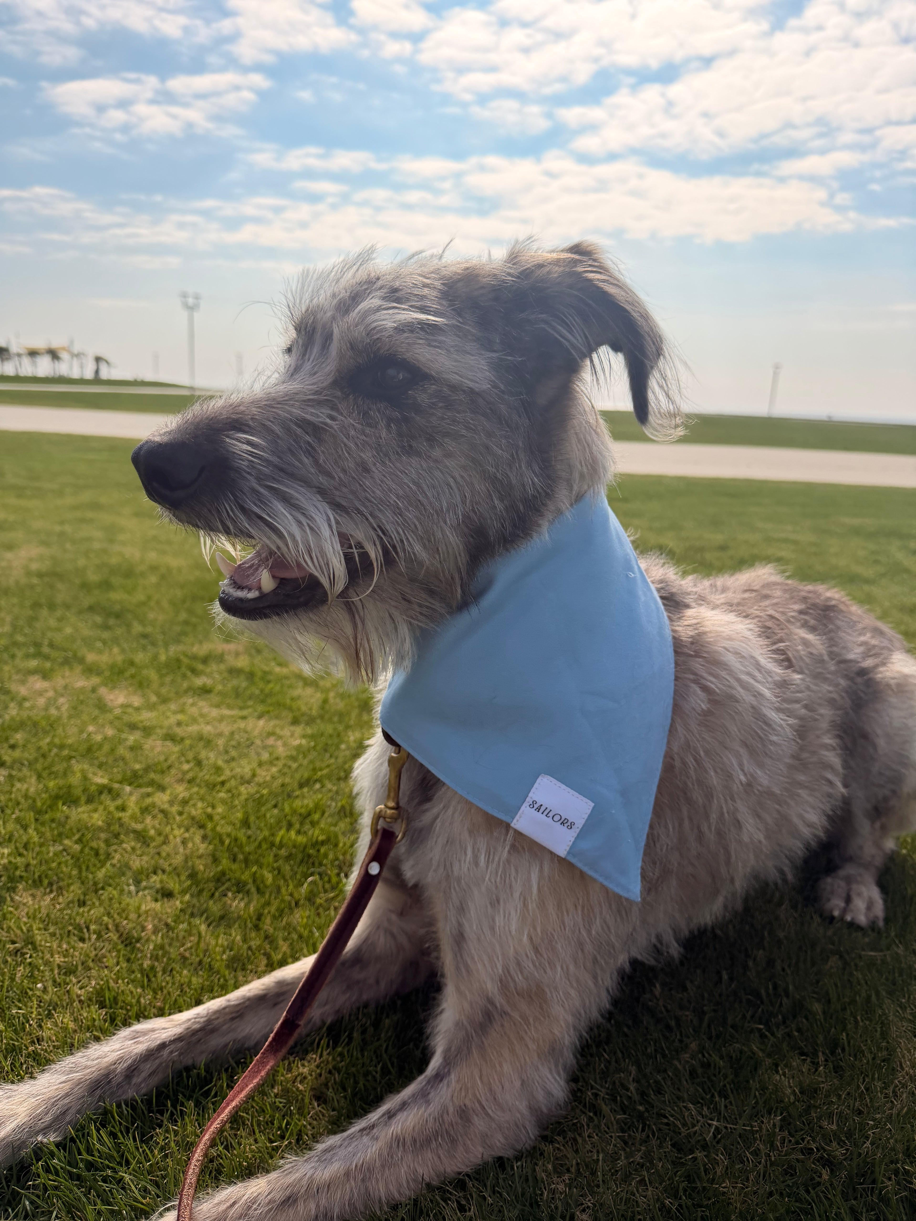 Blue and White Striped Reversible Dog Bandana