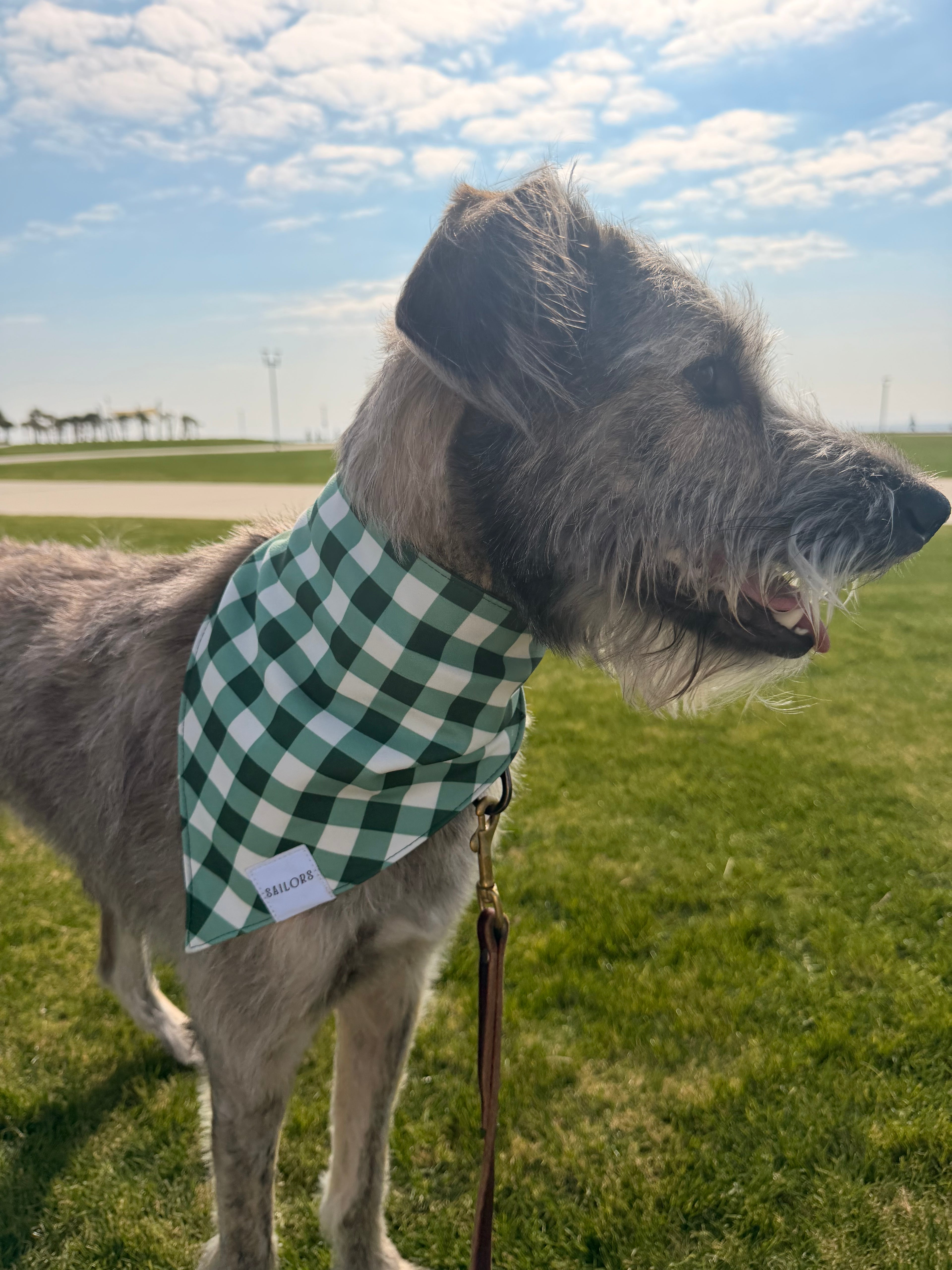 Green Gingham Reversible Dog Bandana