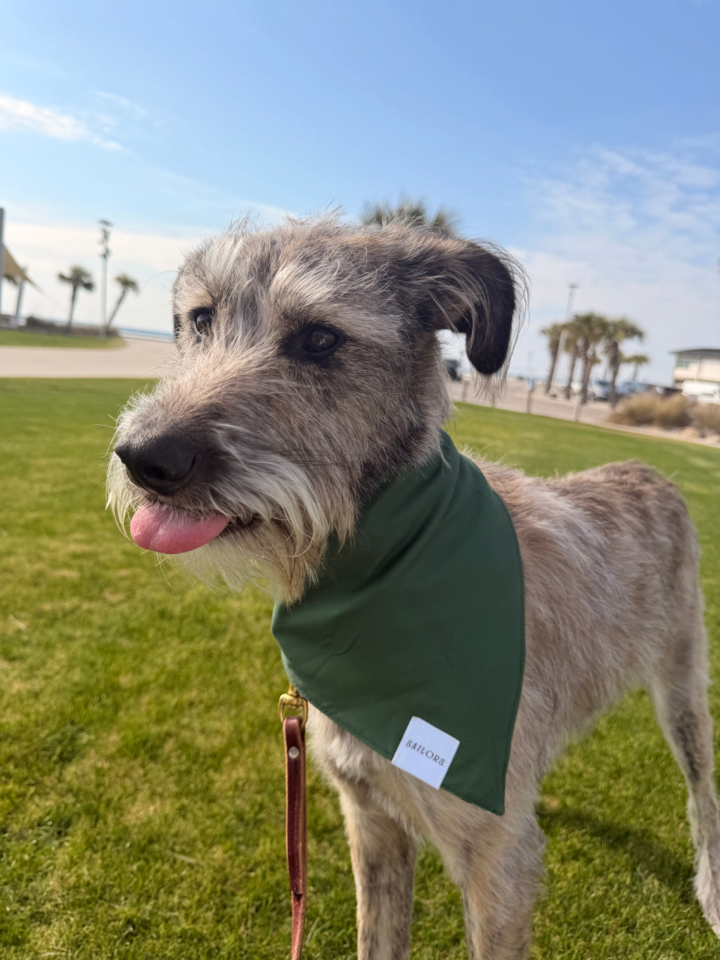 Green Gingham Reversible Dog Bandana