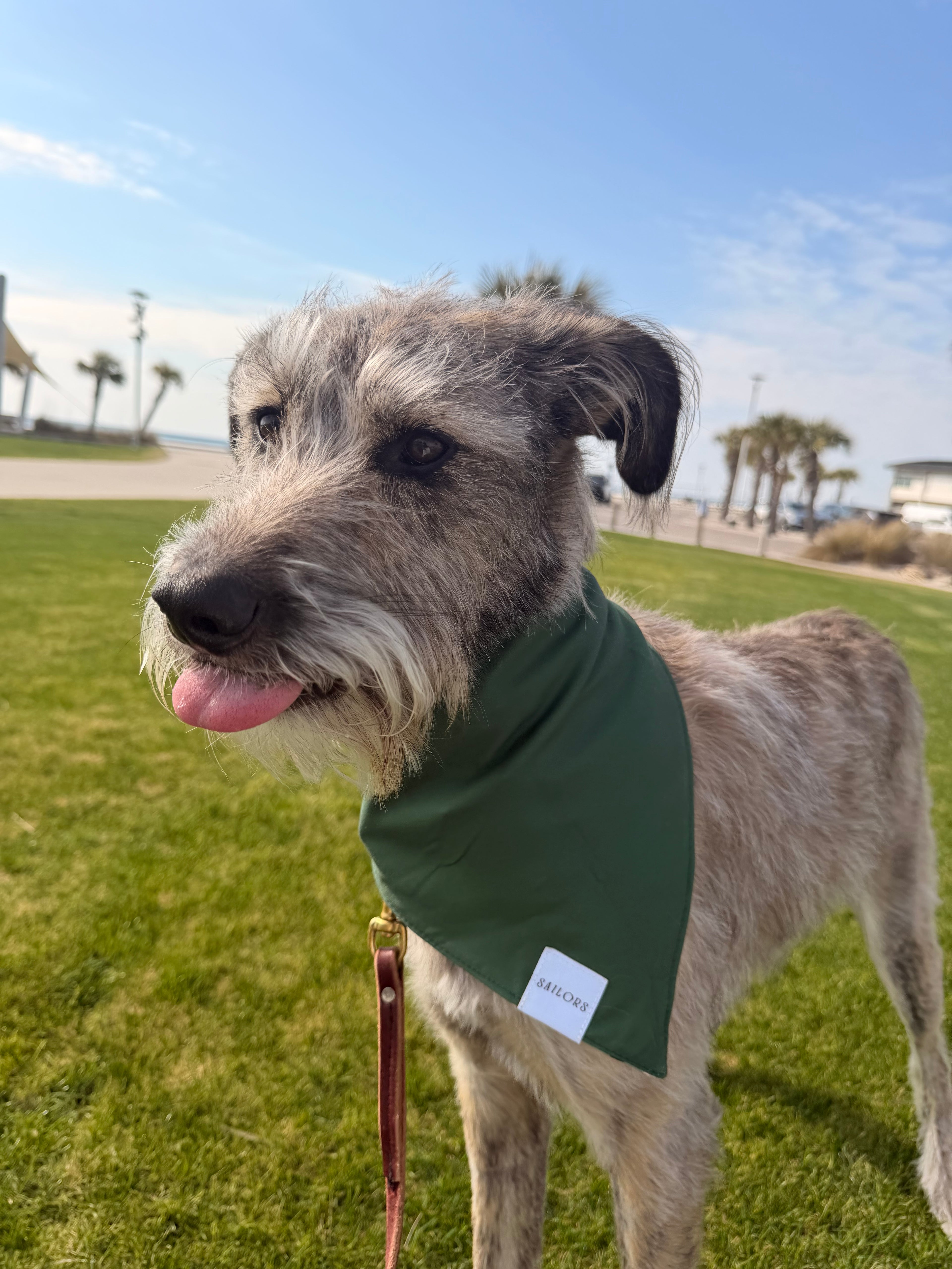 Green Gingham Reversible Dog Bandana