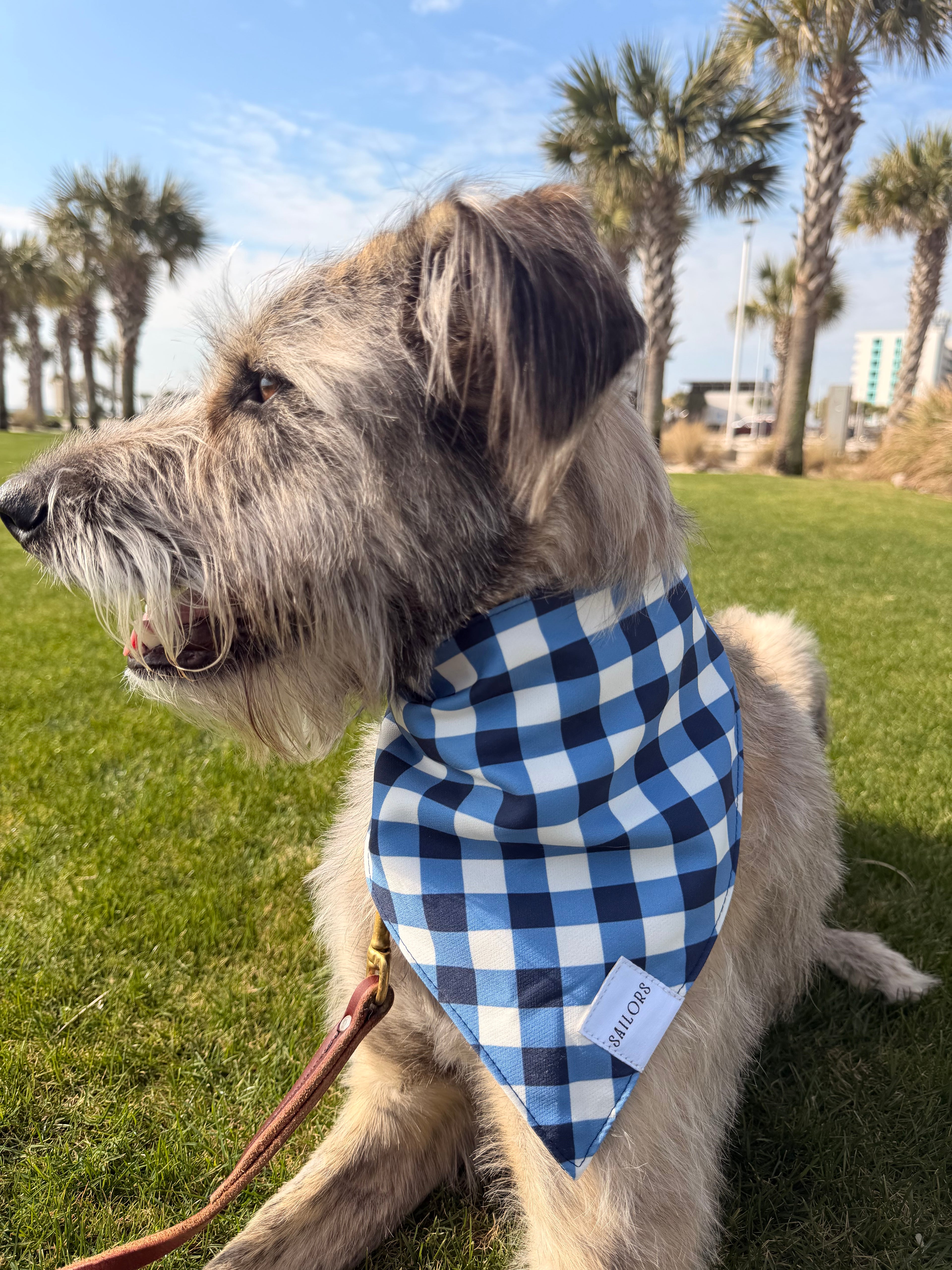 Blue Gingham Reversible Dog Bandana