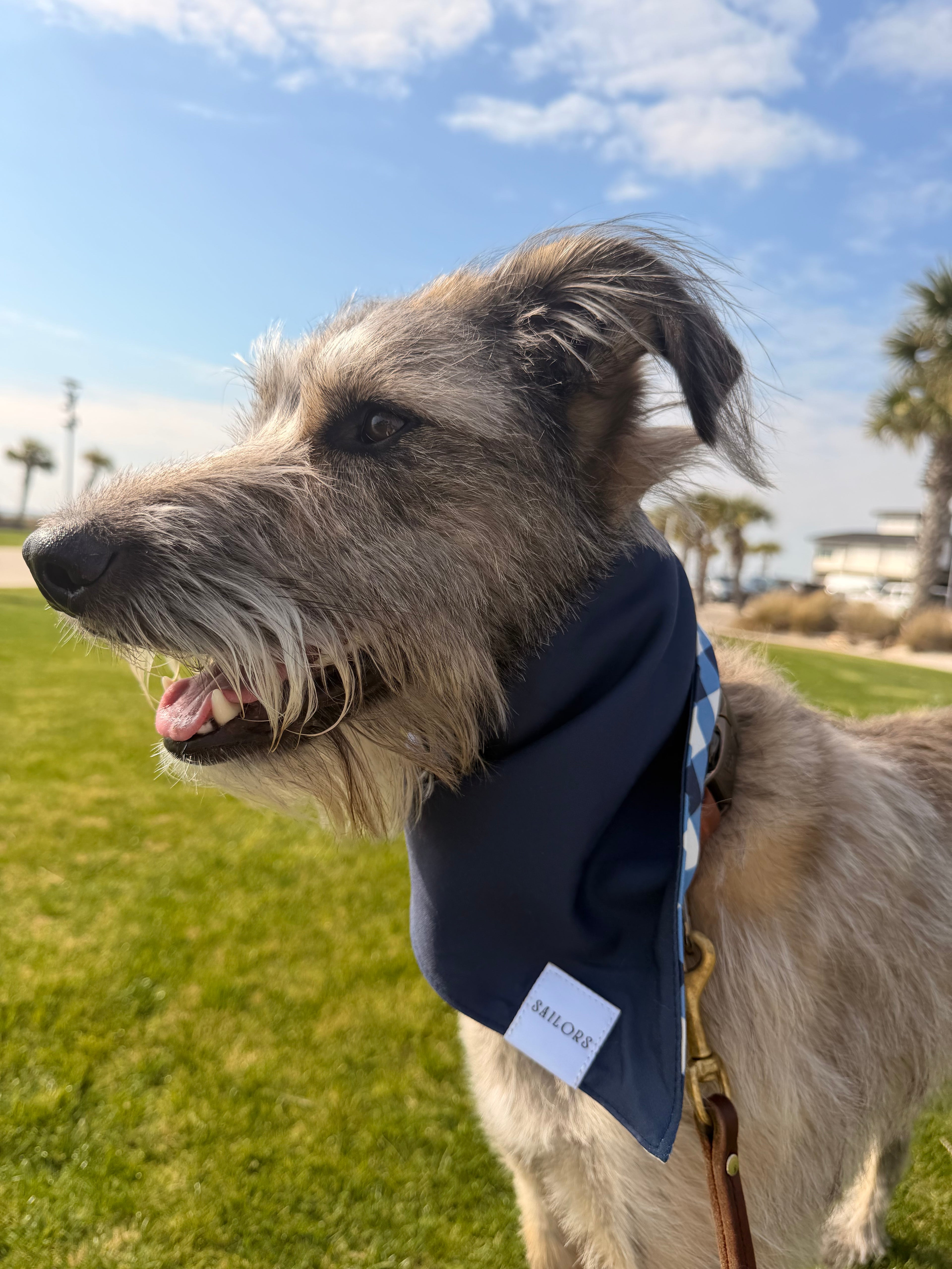 Blue Gingham Reversible Dog Bandana