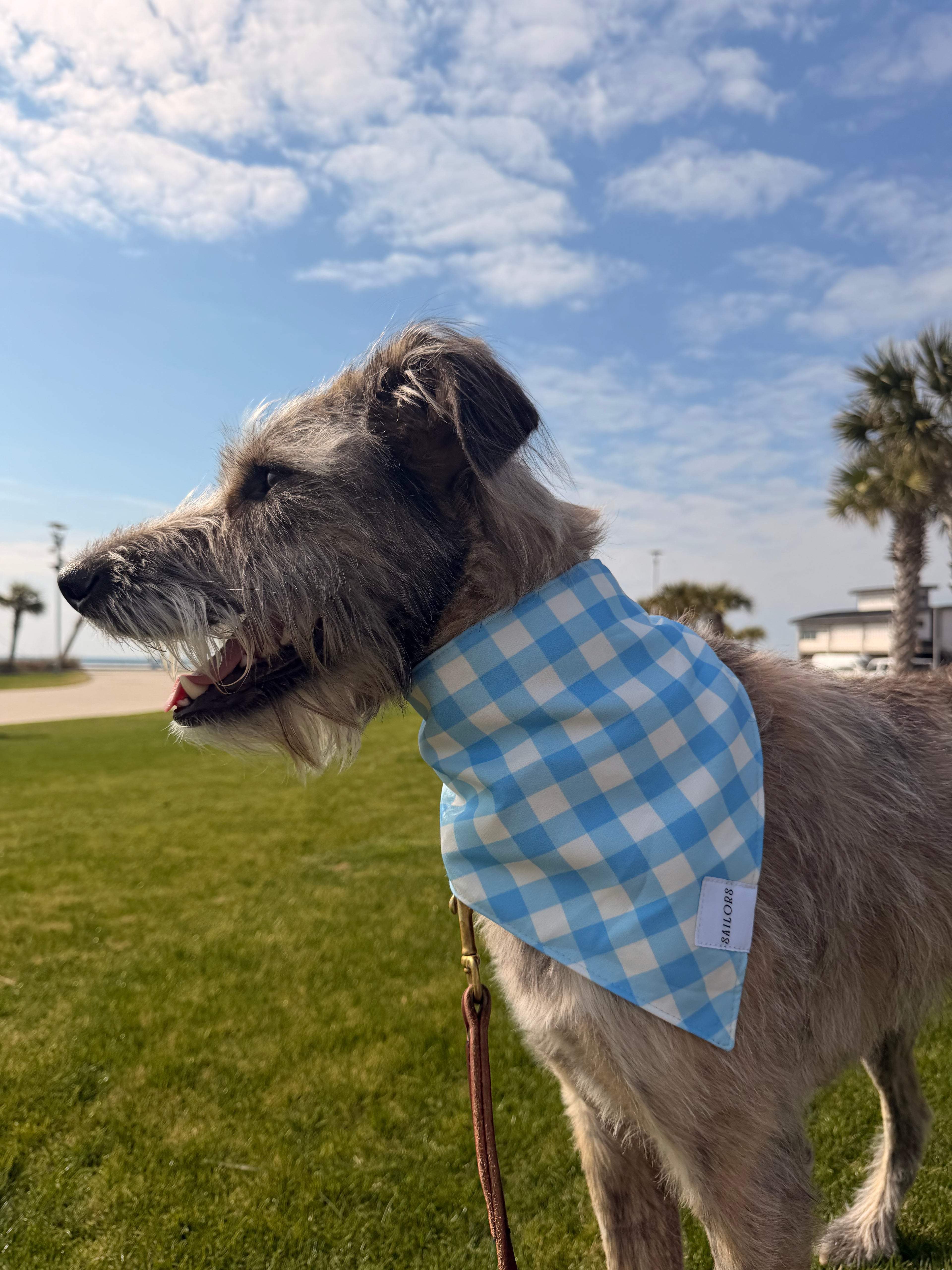 Light Blue Gingham Reversible Dog Bandana