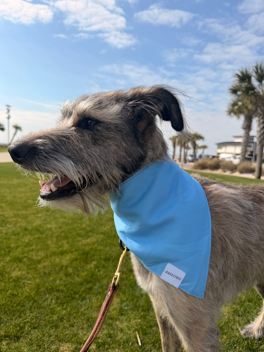 Light Blue Gingham Reversible Dog Bandana