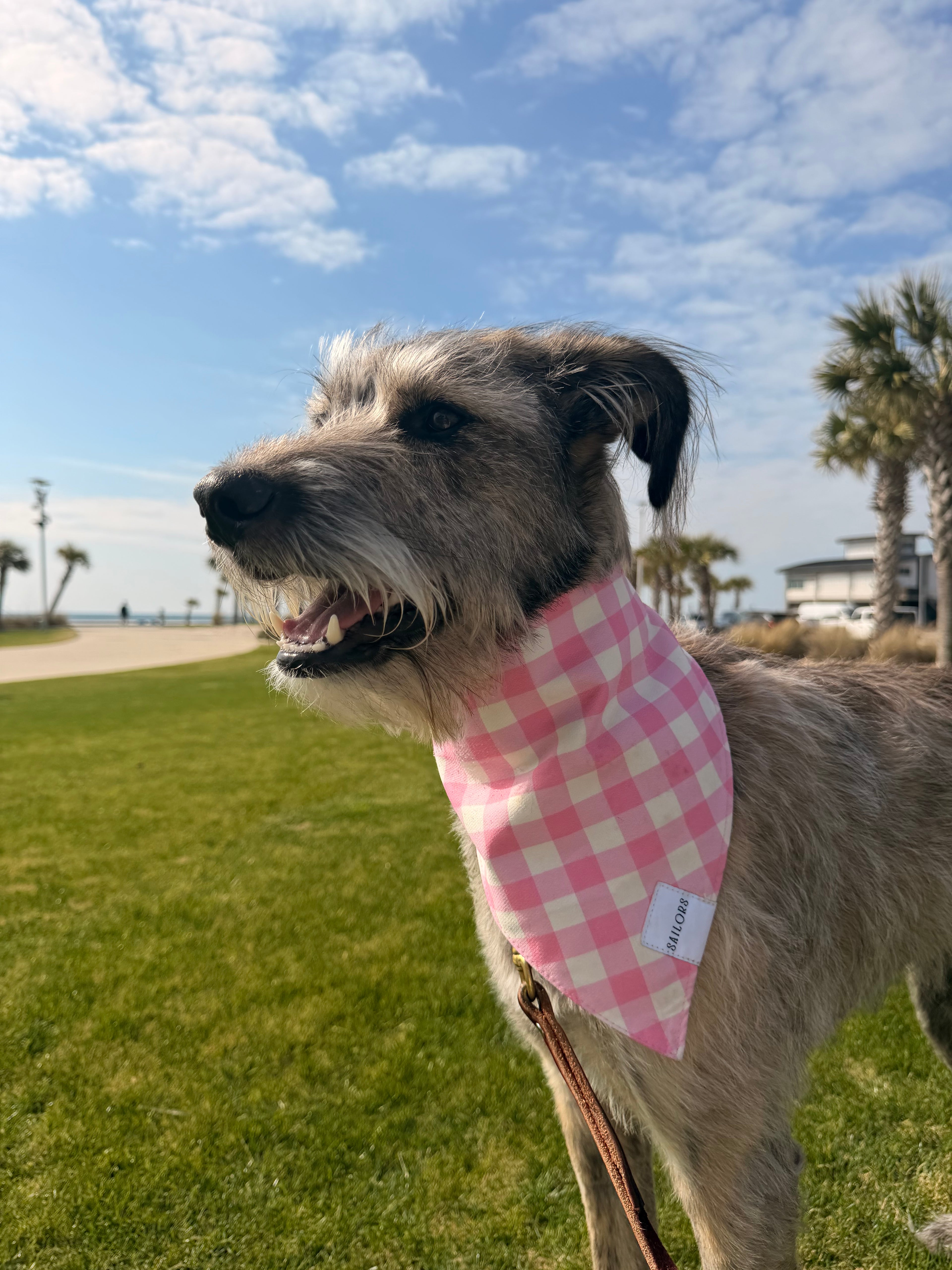 Pink Gingham Reversible Dog Bandana