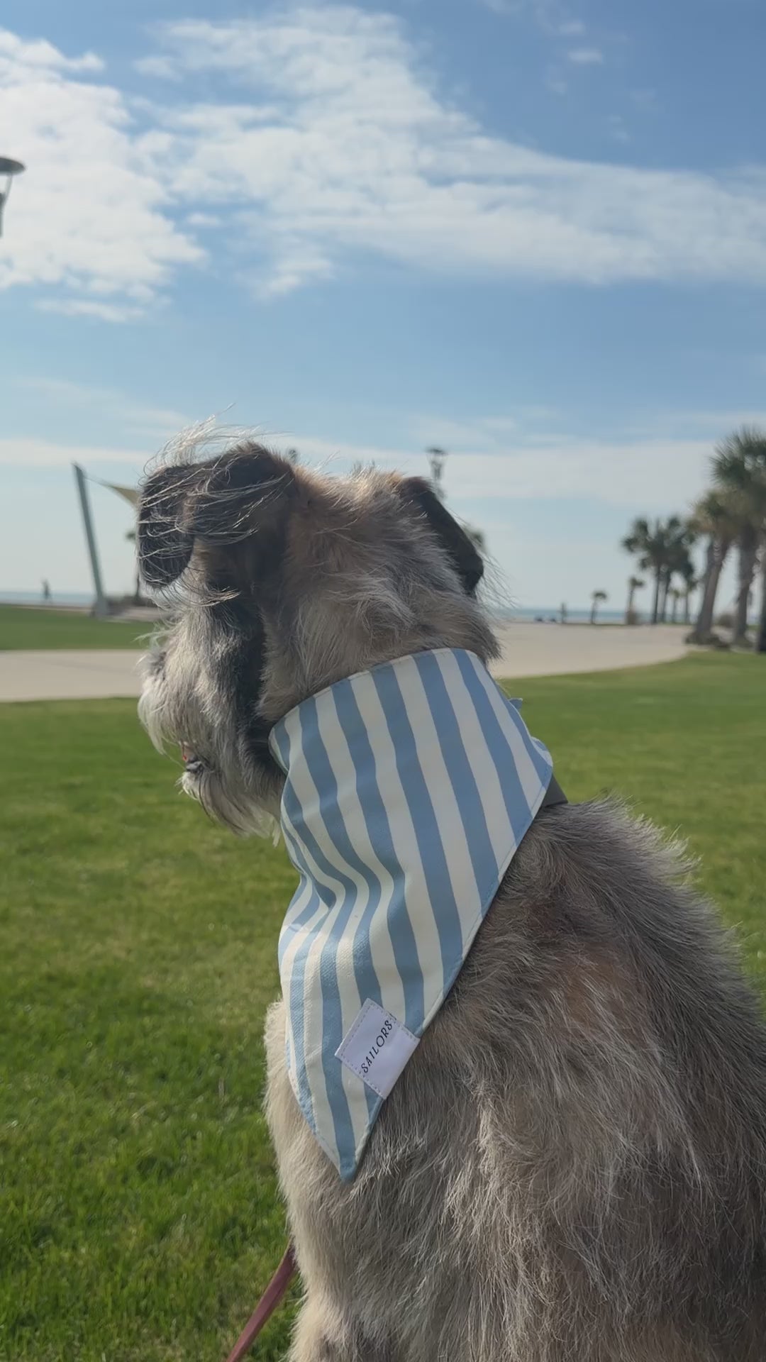 Blue and White Striped Reversible Dog Bandana