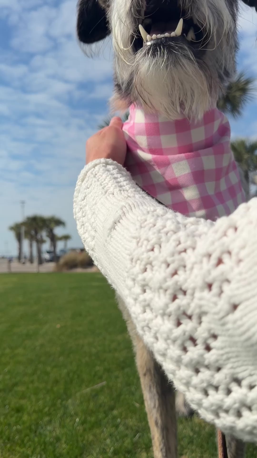Pink Gingham Reversible Dog Bandana